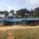 진경원민박캠핑장 이미지