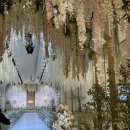 모닝블루 | [공지] W2.[대구 엠스타하우스 홀투어&amp;계약후기] 블루스타홀 계약 이유 (모닝스타홀/화이트스타홀 비교)