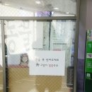 북악동물병원 | 뿡뿡이 두 번째 건강검진 준비하기!! 루시드 동물 메디컬센터(구. 북악 동물병원)