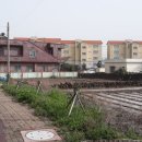 평대리동동 경로당 이미지