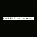 코스모스(COSMOS)