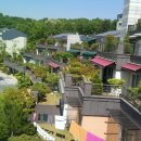 루시헤어 이미지