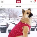 제일BYC