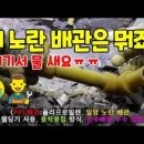 내손으로TV 이미지