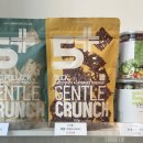 몽글몽글애견유치원 이미지