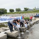 남원종자 이미지