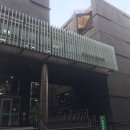 서진닭집 | 강남역 혼밥 : 강남대성 앞 김밥스케치에서 혼자밥먹음.