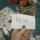 돌콩새 이미지