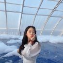 버블버블펜션