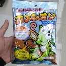 카멜레온유통 쇼핑하우