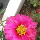 인헌동-32 이미지