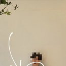 가먼트스튜디오 - 의왕시 양지편1로 4-14 | (예복) 포튼가먼트 아이보리 정장 대여 스튜디오 촬영 후기