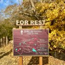 삼성물산㈜에버랜드리조트 | 에버랜드 가든패스 사계절을 즐기는 정원구독 [가을] 2025 에버랜드 비밀의 은행나무숲 트레킹...