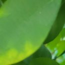 금산우리내과의원 이미지