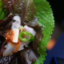 숙이횟집 이미지