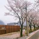 자라목공원 이미지