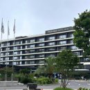 딸기네 민박 | 7월 또 다시 제주 여행🍀(day 1~2: 파르나스 제주 &amp; 제주 서쪽 편집샵 투어, 위이)