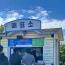 안성농협 본점(안성농업협동조합) | 안성팜랜드의 가을: 핑크뮬리 코스모스 해바라기, 5살 딸과 내돈내산 후기