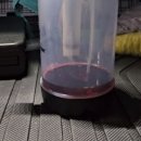 수세차
