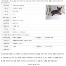 대공원 동물병원 이미지