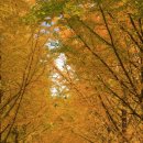 은행1리 이미지