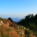 지리산천상화원 이미지