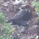 염소사육장 이미지