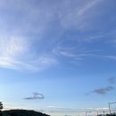 명성우렁이쌈밥 이미지