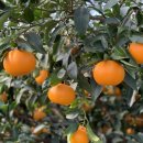 생규농장 이미지