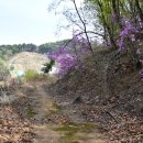 인처골시골밥상 이미지