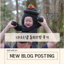 돌하르방 | 세상에서 제일 귀여운 꼬마 돌하르방 등장! (나나스냅 제주 스냅 후기)