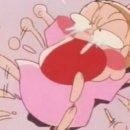 도그프리 이미지