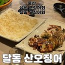 달동산오징어 | 울산 삼산동 달동 횟집 추천 달동 산오징어