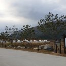 운산리 구라이골 캠핑장 이미지