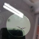 성실자동차부분정비 이미지