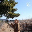 UR(서귀포시)-[태위로]-상-13 | 2박3일 같은 2박4일 제주일정 짜고 조심스레 다녀온 제주도 2일차~