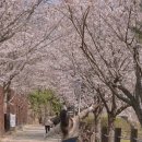 기형도문화공원 이미지