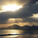 행복하 개 이미지