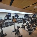 싸피엔스짐 명지국제신도시점 이미지