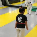 경희대태권도 이미지