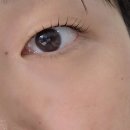 프롬여닝 | 상봉 속눈썹펌 잘하는 곳 추천 프롬여닝 중랑구 속눈썹 내돈내산 재방문 후기