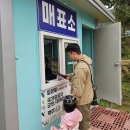 수아농장 | 울산 하늘목장 &#34;먹이주기체험·피크닉존·놀이존&#34;까지 알찬 구성 후기