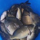 (주)풍영 이미지