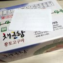해남농산수산물 | 채근향 고구마 - 영암 무농약 황토 황금호박고구마,꿀고구마 & 고구마 이야기
