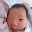 ㈜정산덴탈라인 | 이제 막 조리원퇴소한 산모가 알려주는 제왕절개 수술 준비물｜병원 갈 때 꼭 챙겨야 할 것들 (완전...