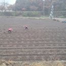 중인농장 이미지