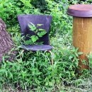 자연의 순환 이미지