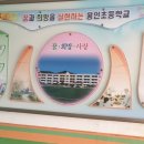 용인초등학교 이미지