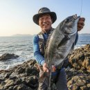 고래섬민박 | 🎯역대급 조과(釣果)! 신안 흑산도 감성돔 대물 낚시 성공 후기 &amp; 뱃위에서 즐기는 특급 활어회 맛집 탐방