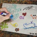 제주해양동물박물관 이미지